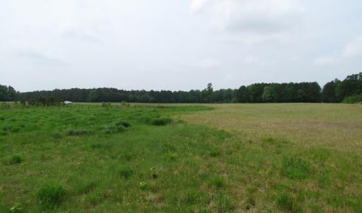 Photo of UNDER CONTRACT!  11 Acres of Farm Land For Sale in Southampton County VA!