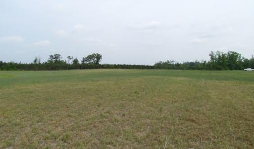 Photo of UNDER CONTRACT!  11 Acres of Farm Land For Sale in Southampton County VA!