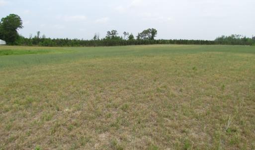 Photo of UNDER CONTRACT!  11 Acres of Farm Land For Sale in Southampton County VA!