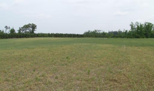 Photo of UNDER CONTRACT!  11 Acres of Farm Land For Sale in Southampton County VA!