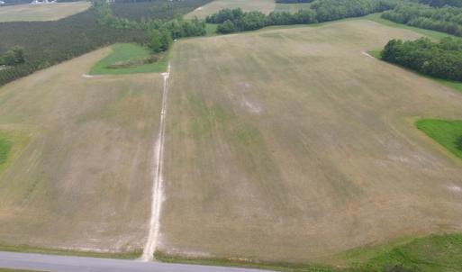 Photo of UNDER CONTRACT!  17 Acres of Farm Land For Sale in Southampton County VA!