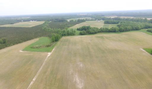 Photo of UNDER CONTRACT!  17 Acres of Farm Land For Sale in Southampton County VA!