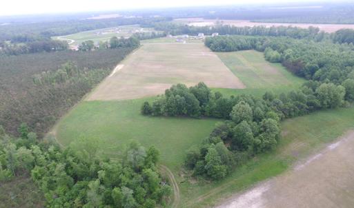 Photo of UNDER CONTRACT!  17 Acres of Farm Land For Sale in Southampton County VA!