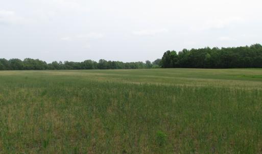 Photo of UNDER CONTRACT!  17 Acres of Farm Land For Sale in Southampton County VA!