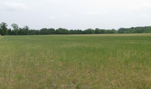 Photo of UNDER CONTRACT!  17 Acres of Farm Land For Sale in Southampton County VA!