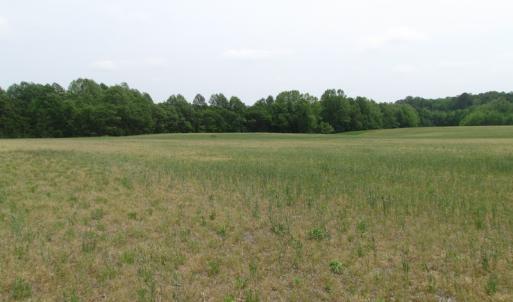 Photo of UNDER CONTRACT!  17 Acres of Farm Land For Sale in Southampton County VA!