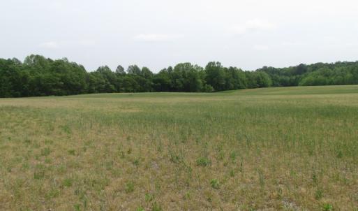 Photo of UNDER CONTRACT!  17 Acres of Farm Land For Sale in Southampton County VA!
