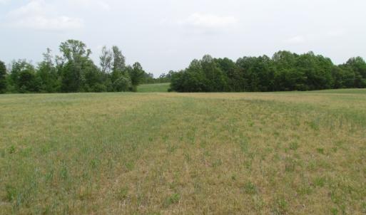 Photo of UNDER CONTRACT!  17 Acres of Farm Land For Sale in Southampton County VA!