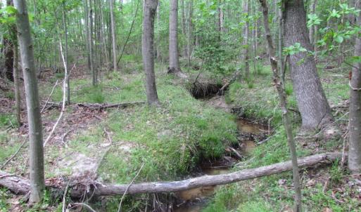 Photo of UNDER CONTRACT!  17 Acres of Farm Land For Sale in Southampton County VA!
