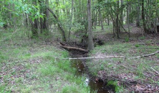 Photo of UNDER CONTRACT!  17 Acres of Farm Land For Sale in Southampton County VA!