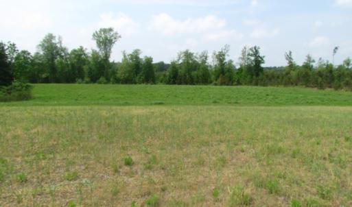 Photo of UNDER CONTRACT!  17 Acres of Farm Land For Sale in Southampton County VA!