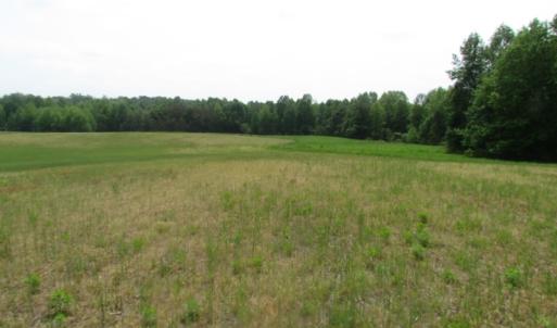 Photo of UNDER CONTRACT!  17 Acres of Farm Land For Sale in Southampton County VA!