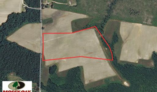 Photo of UNDER CONTRACT!  17 Acres of Farm Land For Sale in Southampton County VA!