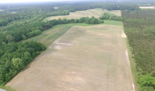 Photo of UNDER CONTRACT!  14 Acres of Farm Land For Sale in Southampton County VA!