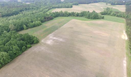 Photo of UNDER CONTRACT!  14 Acres of Farm Land For Sale in Southampton County VA!