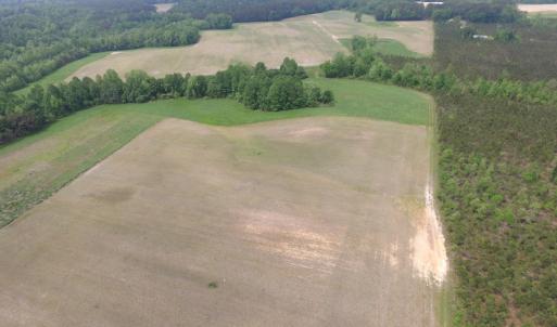 Photo of UNDER CONTRACT!  14 Acres of Farm Land For Sale in Southampton County VA!