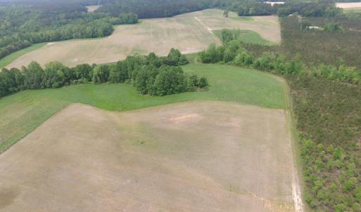 Photo of UNDER CONTRACT!  14 Acres of Farm Land For Sale in Southampton County VA!