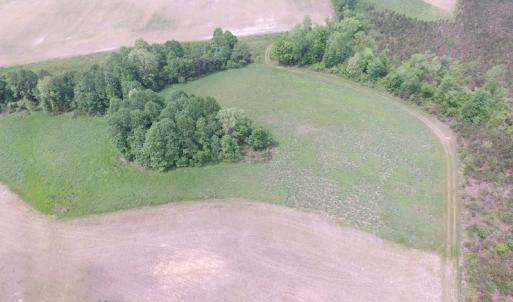 Photo of UNDER CONTRACT!  14 Acres of Farm Land For Sale in Southampton County VA!