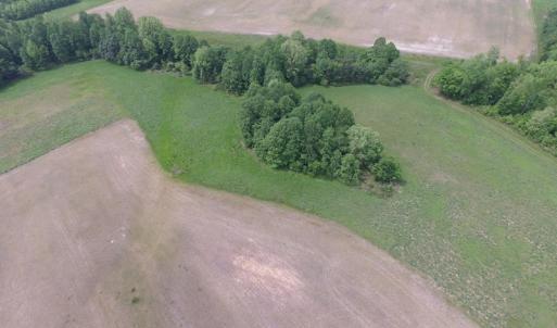 Photo of UNDER CONTRACT!  14 Acres of Farm Land For Sale in Southampton County VA!