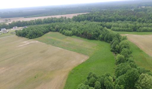 Photo of UNDER CONTRACT!  14 Acres of Farm Land For Sale in Southampton County VA!