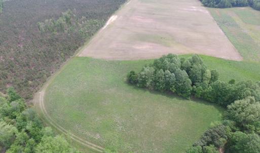Photo of UNDER CONTRACT!  14 Acres of Farm Land For Sale in Southampton County VA!