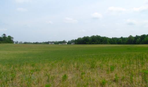 Photo of UNDER CONTRACT!  14 Acres of Farm Land For Sale in Southampton County VA!