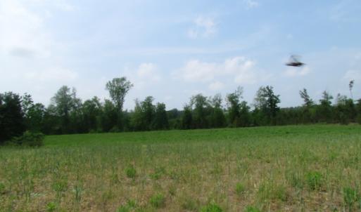 Photo of UNDER CONTRACT!  14 Acres of Farm Land For Sale in Southampton County VA!