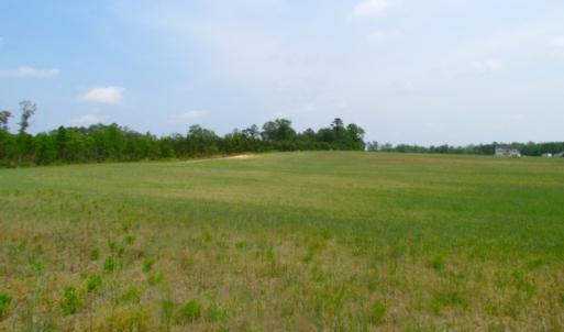 Photo of UNDER CONTRACT!  14 Acres of Farm Land For Sale in Southampton County VA!