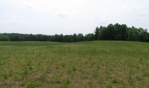 Photo of UNDER CONTRACT!  14 Acres of Farm Land For Sale in Southampton County VA!