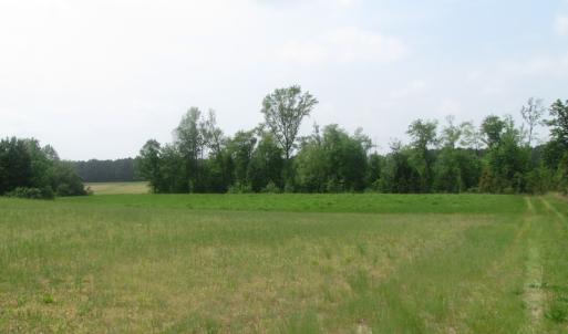 Photo of UNDER CONTRACT!  14 Acres of Farm Land For Sale in Southampton County VA!