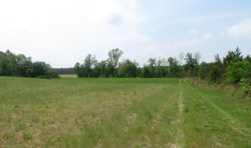 Photo of UNDER CONTRACT!  14 Acres of Farm Land For Sale in Southampton County VA!