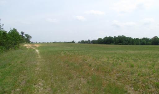 Photo of UNDER CONTRACT!  14 Acres of Farm Land For Sale in Southampton County VA!
