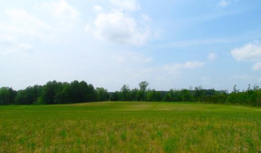 Photo of UNDER CONTRACT!  14 Acres of Farm Land For Sale in Southampton County VA!