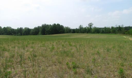 Photo of UNDER CONTRACT!  14 Acres of Farm Land For Sale in Southampton County VA!