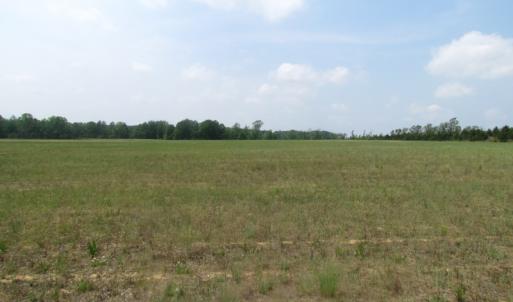 Photo of UNDER CONTRACT!  14 Acres of Farm Land For Sale in Southampton County VA!