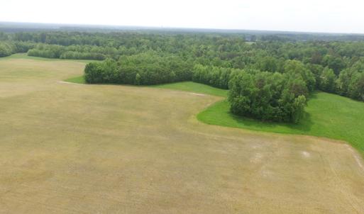 Photo of SOLD!  30 Acres of Hunting and Farm Land For Sale in Southampton County VA!