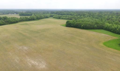 Photo of SOLD!  30 Acres of Hunting and Farm Land For Sale in Southampton County VA!