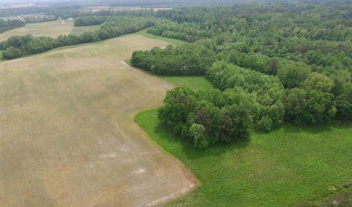 Photo of SOLD!  30 Acres of Hunting and Farm Land For Sale in Southampton County VA!