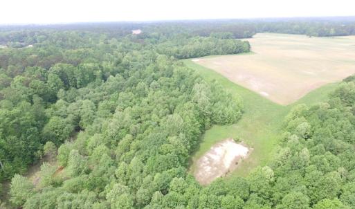 Photo of SOLD!  30 Acres of Hunting and Farm Land For Sale in Southampton County VA!
