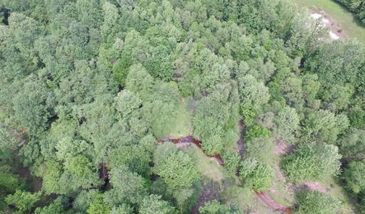 Photo of SOLD!  30 Acres of Hunting and Farm Land For Sale in Southampton County VA!
