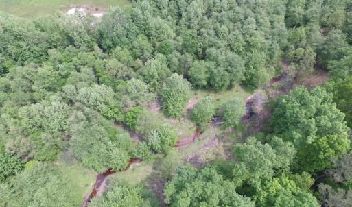 Photo of SOLD!  30 Acres of Hunting and Farm Land For Sale in Southampton County VA!