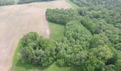Photo of SOLD!  30 Acres of Hunting and Farm Land For Sale in Southampton County VA!