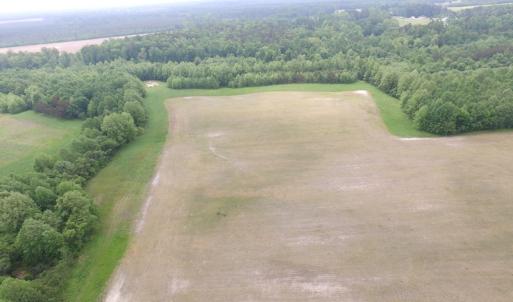 Photo of SOLD!  30 Acres of Hunting and Farm Land For Sale in Southampton County VA!