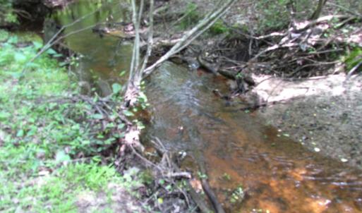 Photo of SOLD!  30 Acres of Hunting and Farm Land For Sale in Southampton County VA!
