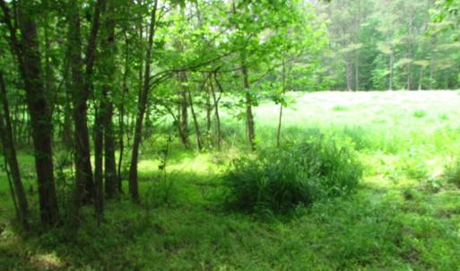 Photo of SOLD!  30 Acres of Hunting and Farm Land For Sale in Southampton County VA!