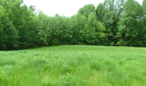Photo of SOLD!  30 Acres of Hunting and Farm Land For Sale in Southampton County VA!