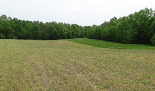 Photo of SOLD!  30 Acres of Hunting and Farm Land For Sale in Southampton County VA!
