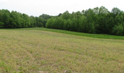 Photo of SOLD!  30 Acres of Hunting and Farm Land For Sale in Southampton County VA!