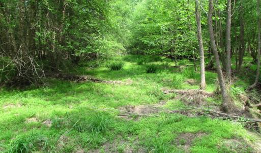 Photo of SOLD!  30 Acres of Hunting and Farm Land For Sale in Southampton County VA!