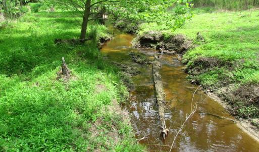 Photo of SOLD!  30 Acres of Hunting and Farm Land For Sale in Southampton County VA!